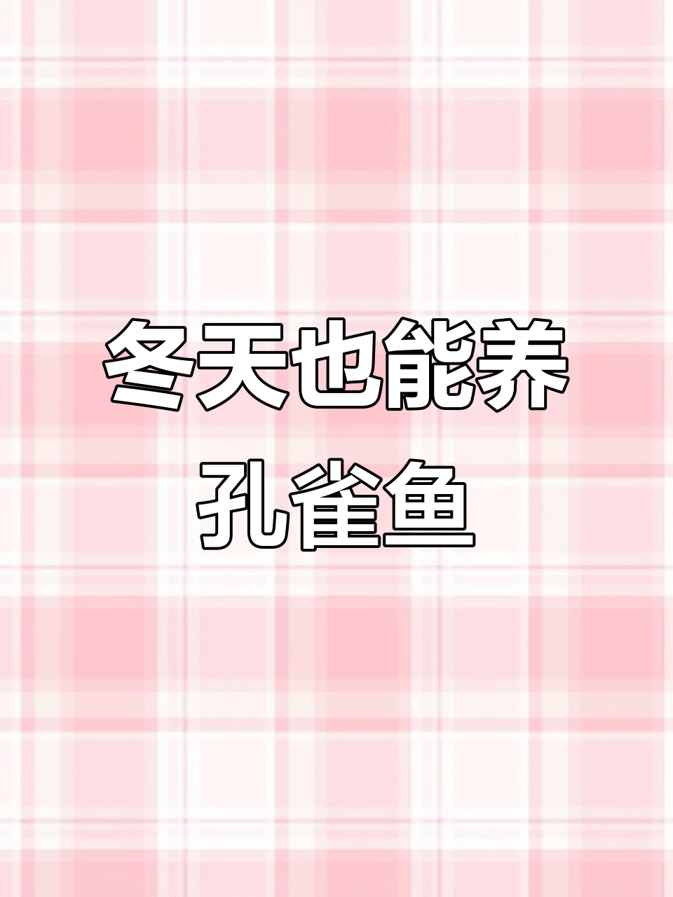 冬季养孔雀鱼,如何应对低温挑战