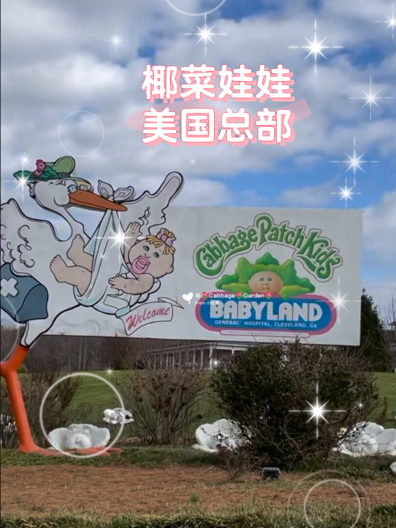 椰菜娃娃美国总部真的可爱哭了!