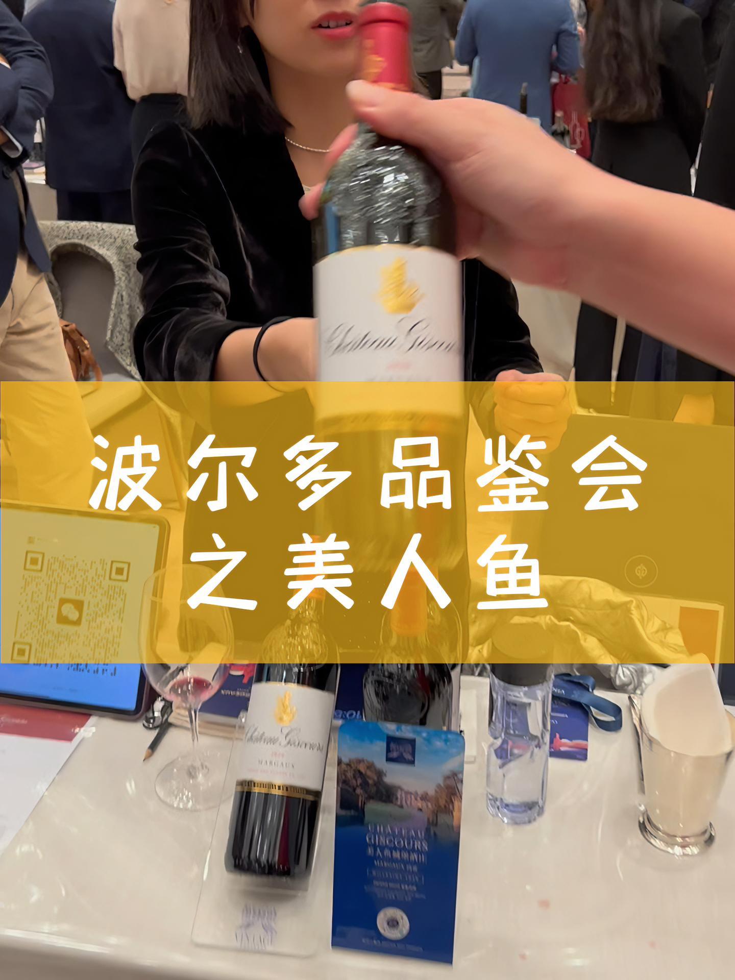 波尔多品鉴会之美人鱼 葡萄酒 进口葡萄酒 波尔多