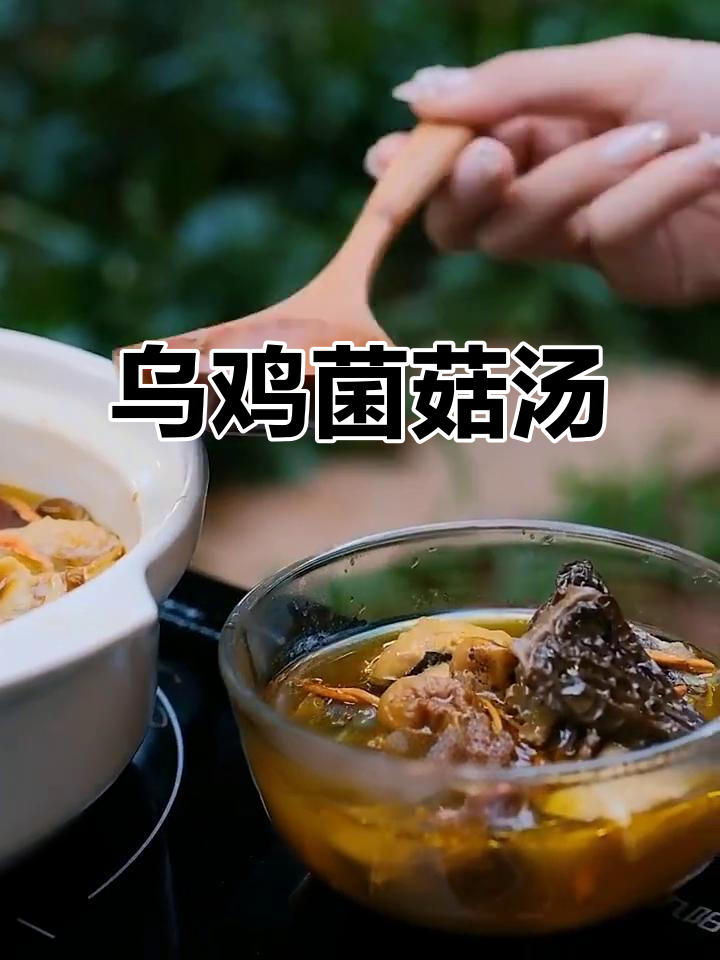 乌鸡菌汤,滋补又美味,教你一步步煲出鲜香四溢的鸡汤
