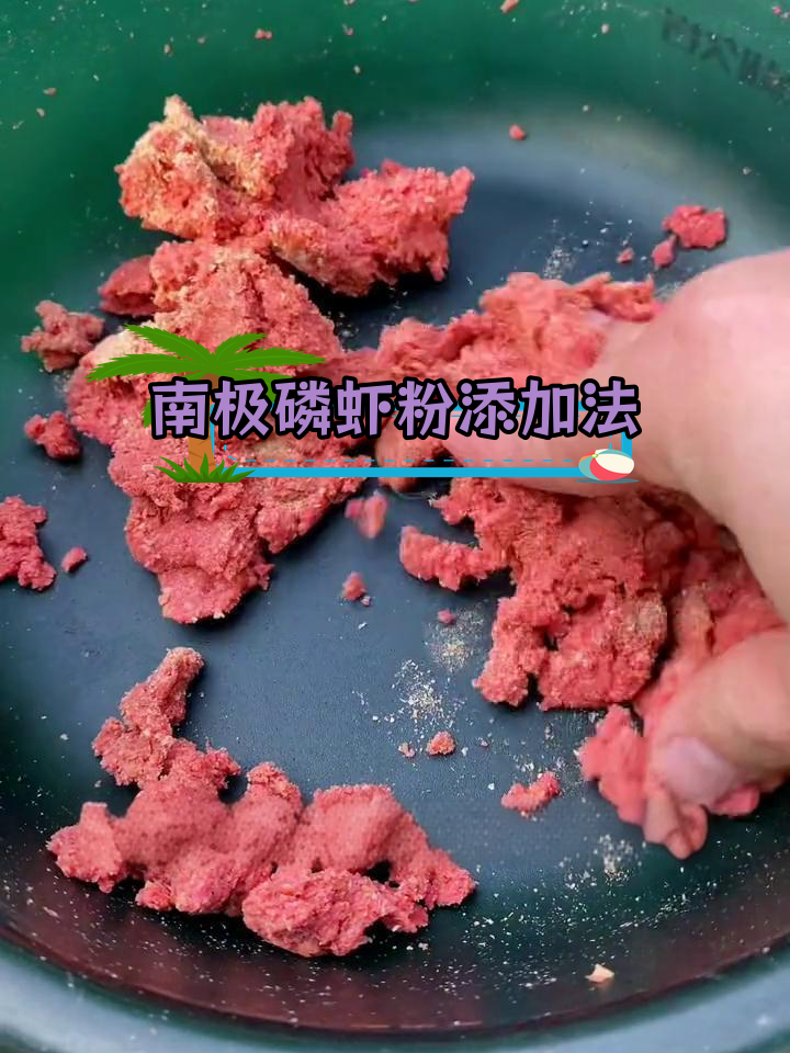 冬季钓鱼必备:南极磷虾粉使用技巧