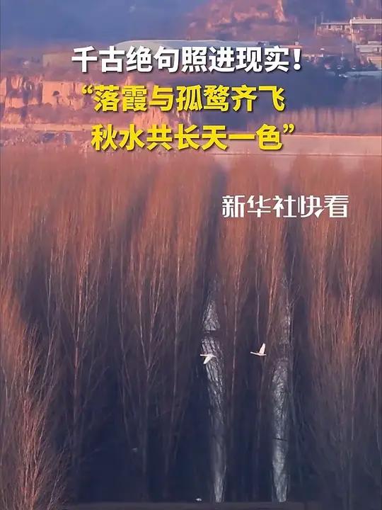 千古绝句照进现实!“落霞与孤鹜齐飞,秋水共长天一色”
