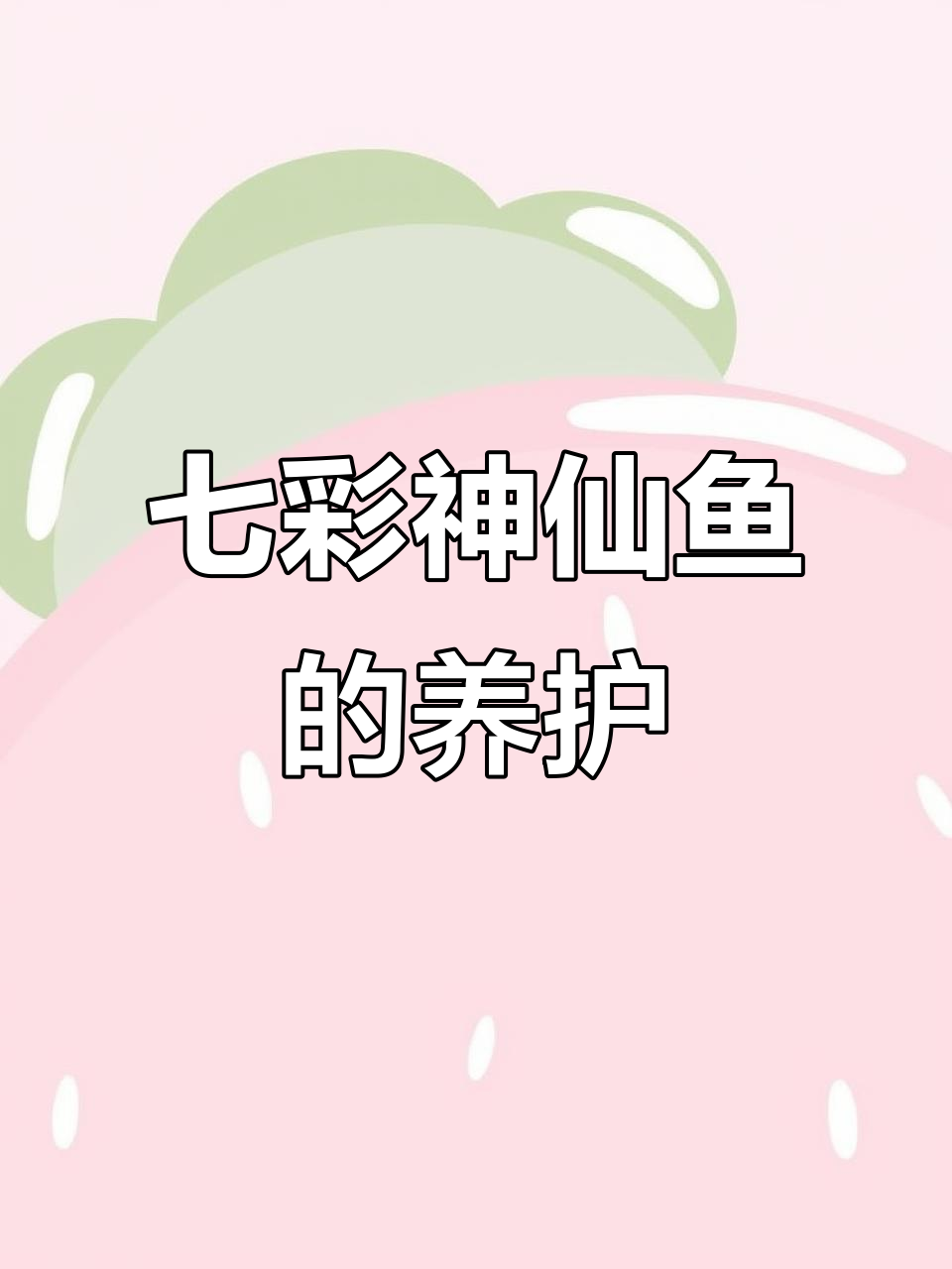 七彩神仙鱼养殖技巧：水质、温度全解析