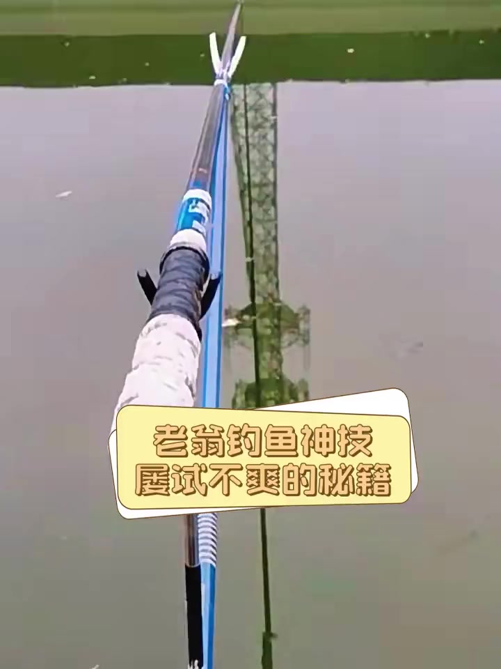 老翁钓鱼神技,屡试不爽的秘籍