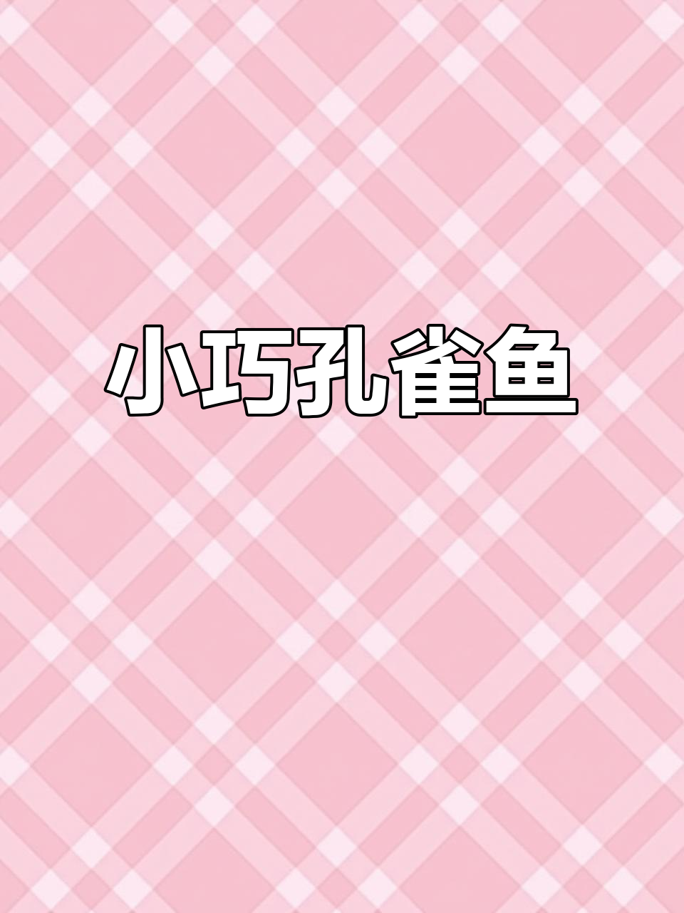 10条孔雀鱼,公母配对,易养耐活的小型淡水宠物