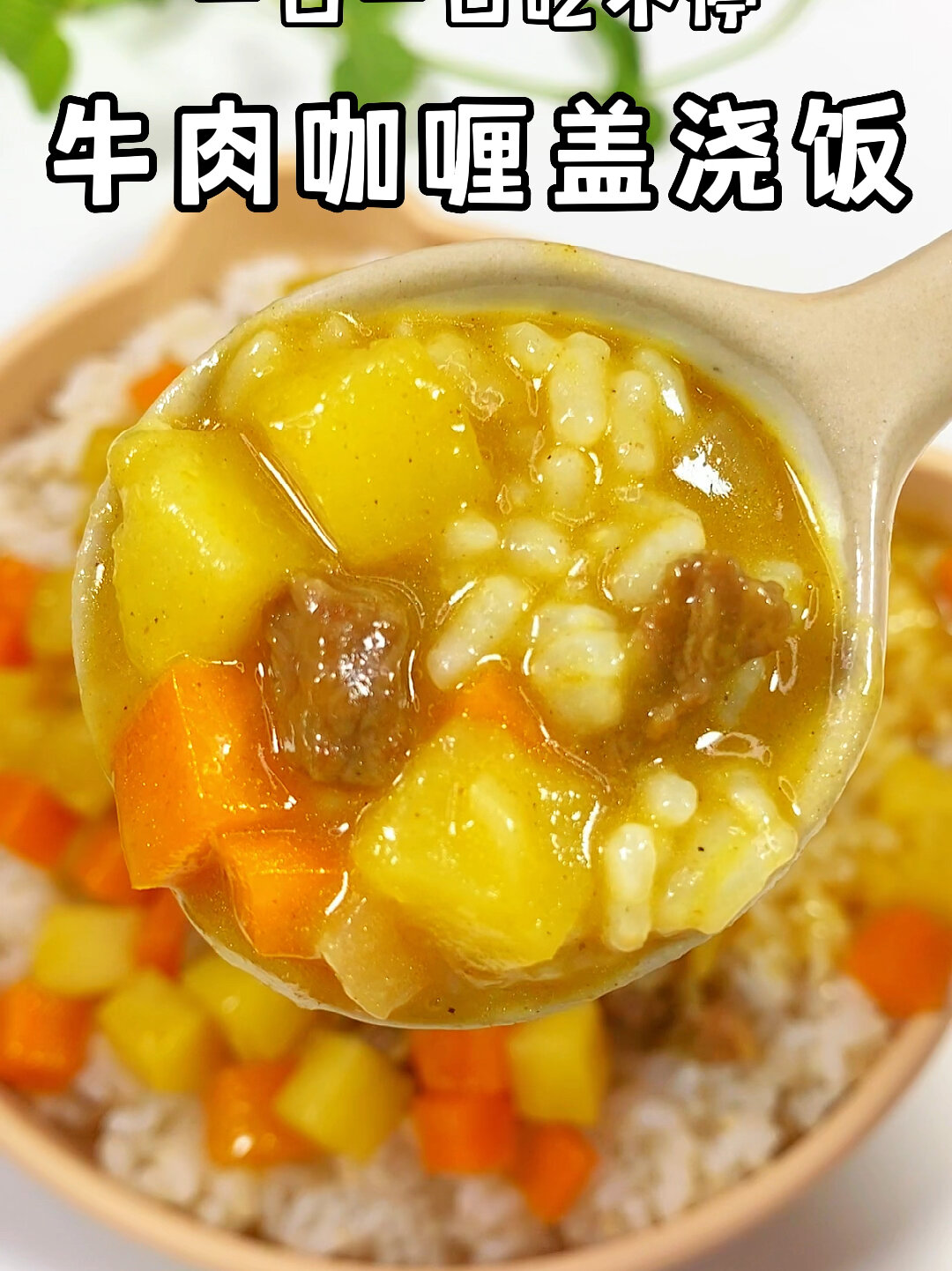 牛肉咖喱盖浇饭