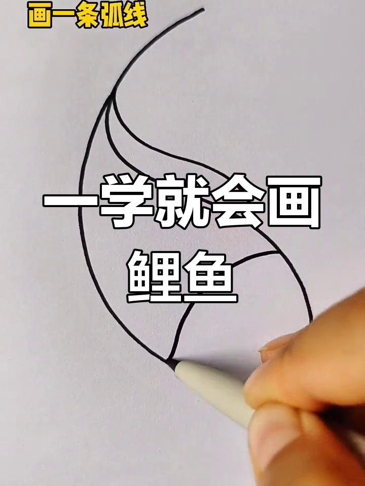 简单几步画出大鲤鱼