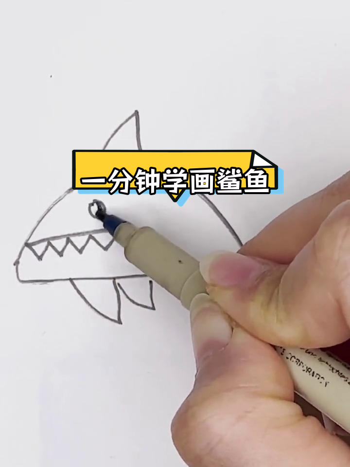 轻松画出大鲨鱼,简单又有趣