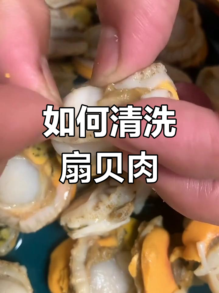 扇贝肉清理全攻略,口感更佳