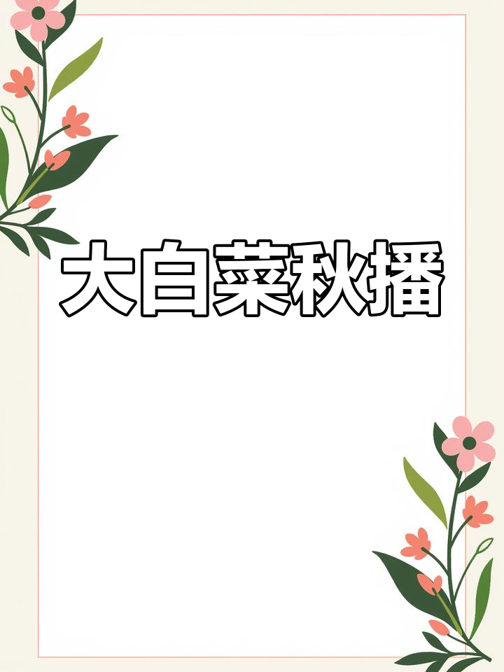 秋季播种大白菜,土壤整理完毕