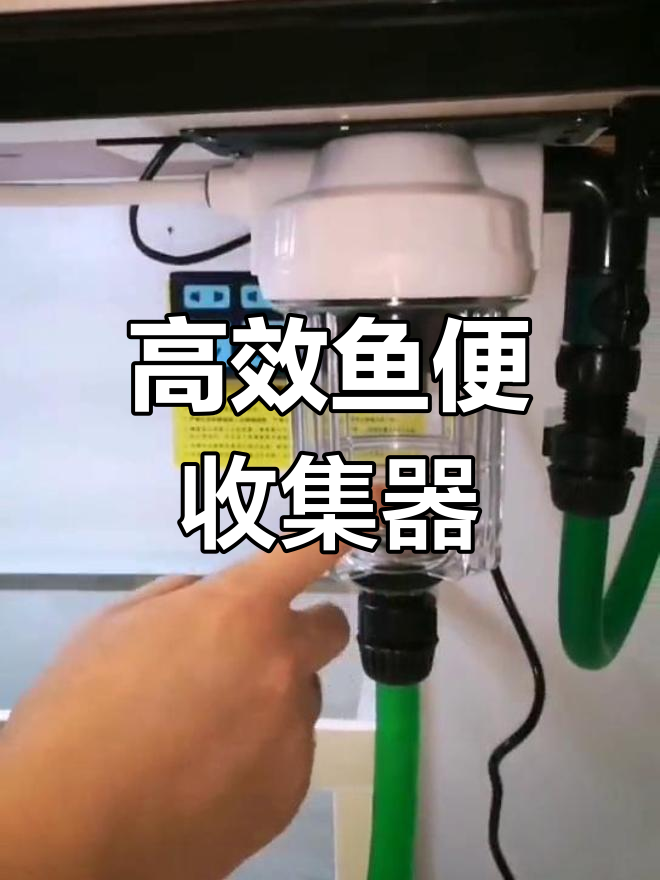 鱼便分离器高效工作,养锦鲤必备神器