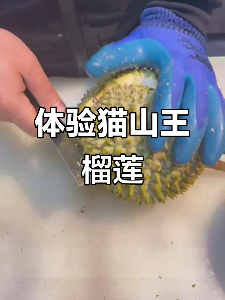 长沙猫山王榴莲专卖店,沉浸式选果、开榴莲大快朵颐