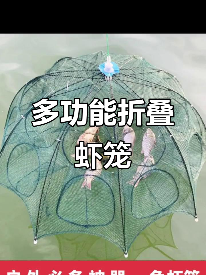 折叠虾笼设计,结实耐用防撕扯,轻松捕捞大小鱼