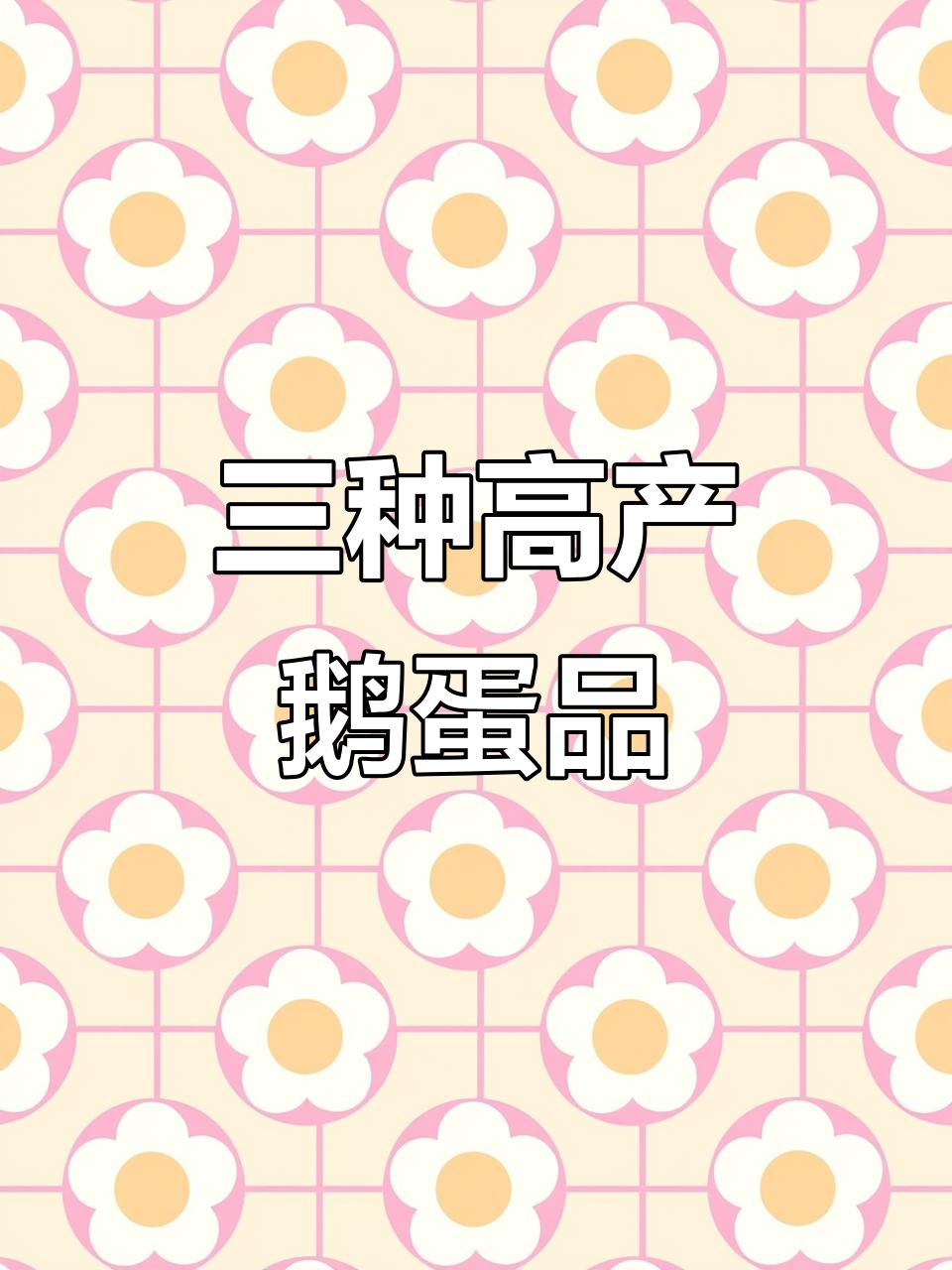 鹅蛋高产秘诀：三种最会下蛋的品种大揭秘