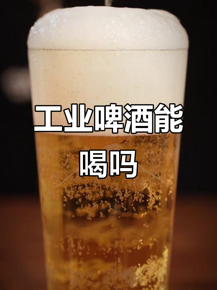 工业啤酒到底能不能喝?揭秘它的制作原理和口感特点