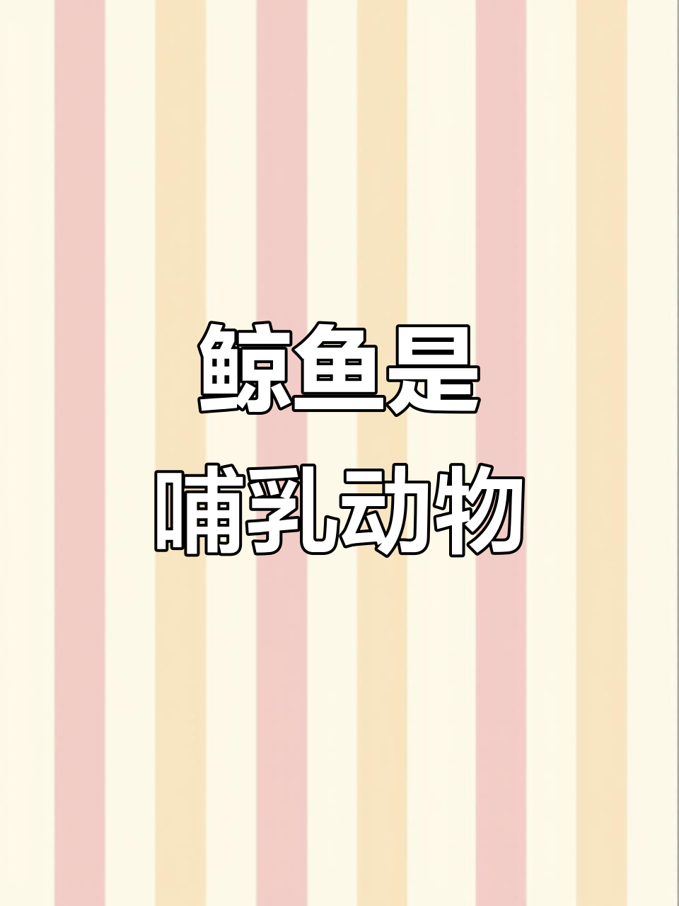 鲸鱼不是鱼类,揭秘哺乳动物的特征