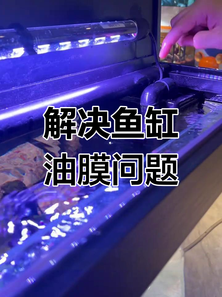 7s高逸鱼缸油膜问题解决技巧,轻松搞定溢流槽堵塞