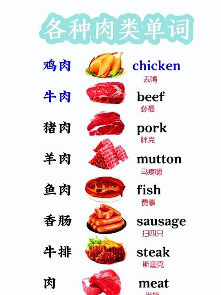 各种肉类单词，单词的正确发音一定要学音标
