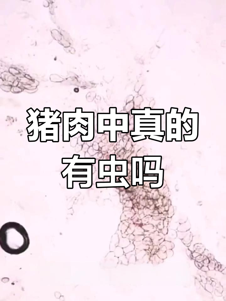 生猪肉可能藏寄生虫？高倍显微镜下真相大揭秘
