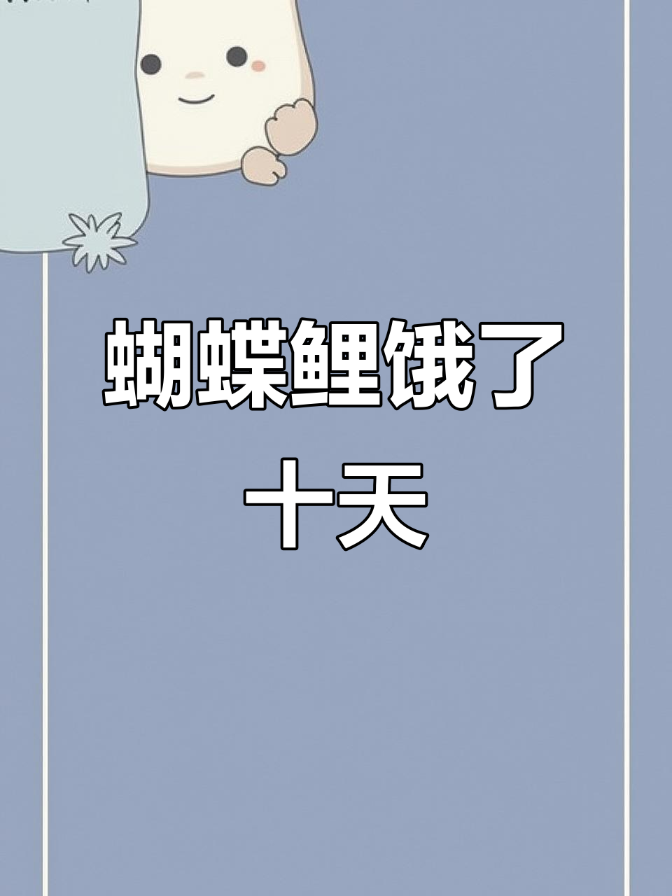 蝴蝶鲤饿到不行,十几天不吃东西竟然没事