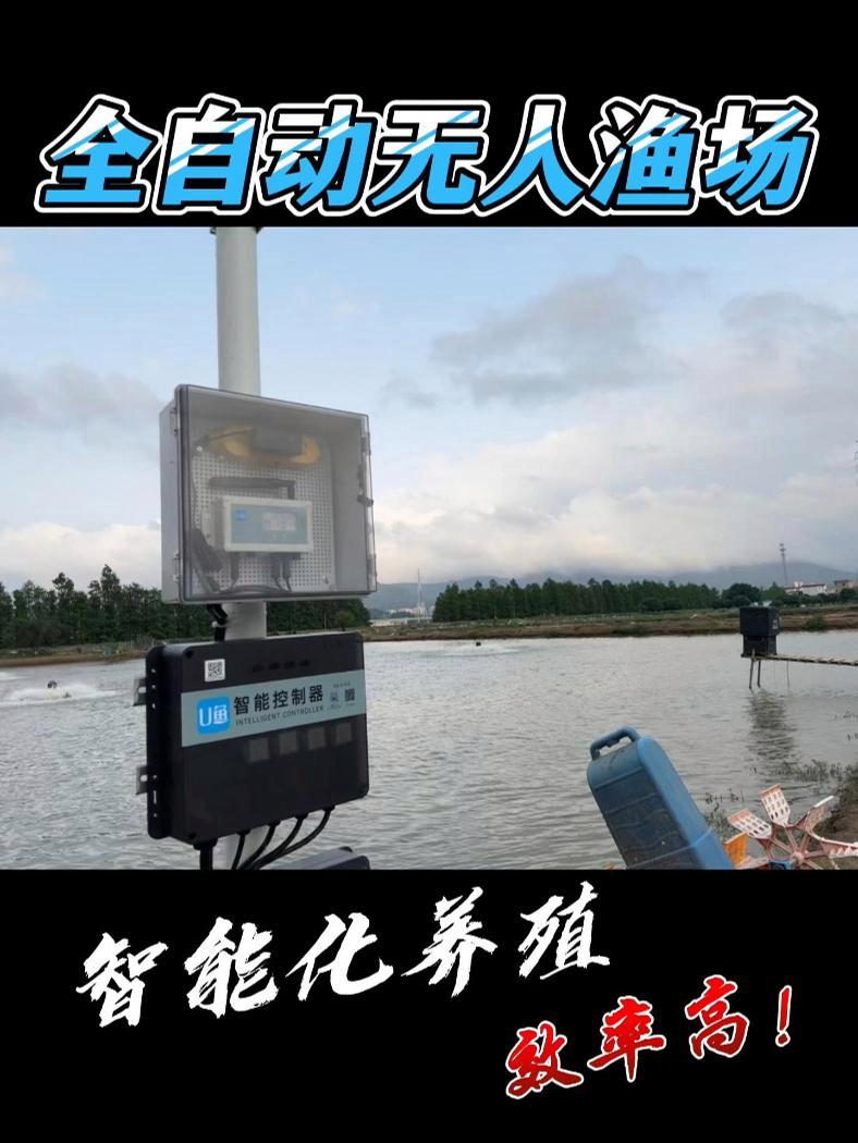 全自动无人渔场是真的!这样养鱼真的太轻松啦!全天候水质监测,增氧机远程开关,智慧渔业就是方