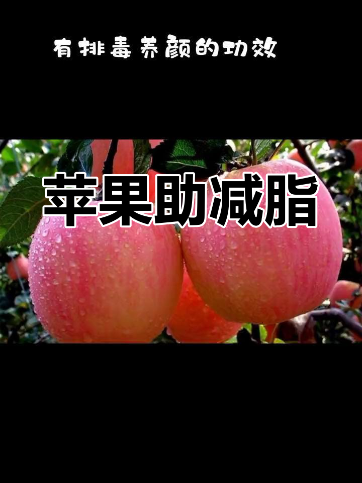 苹果:减肥期必吃的水果