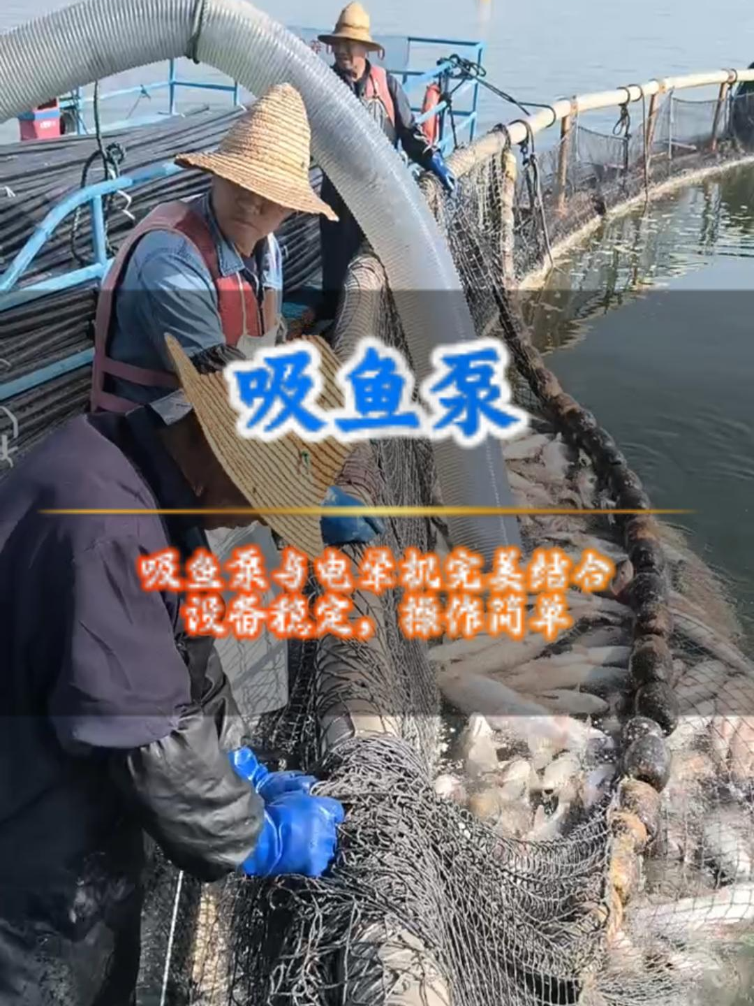 水产加工设备,吸鱼泵,活鱼输送