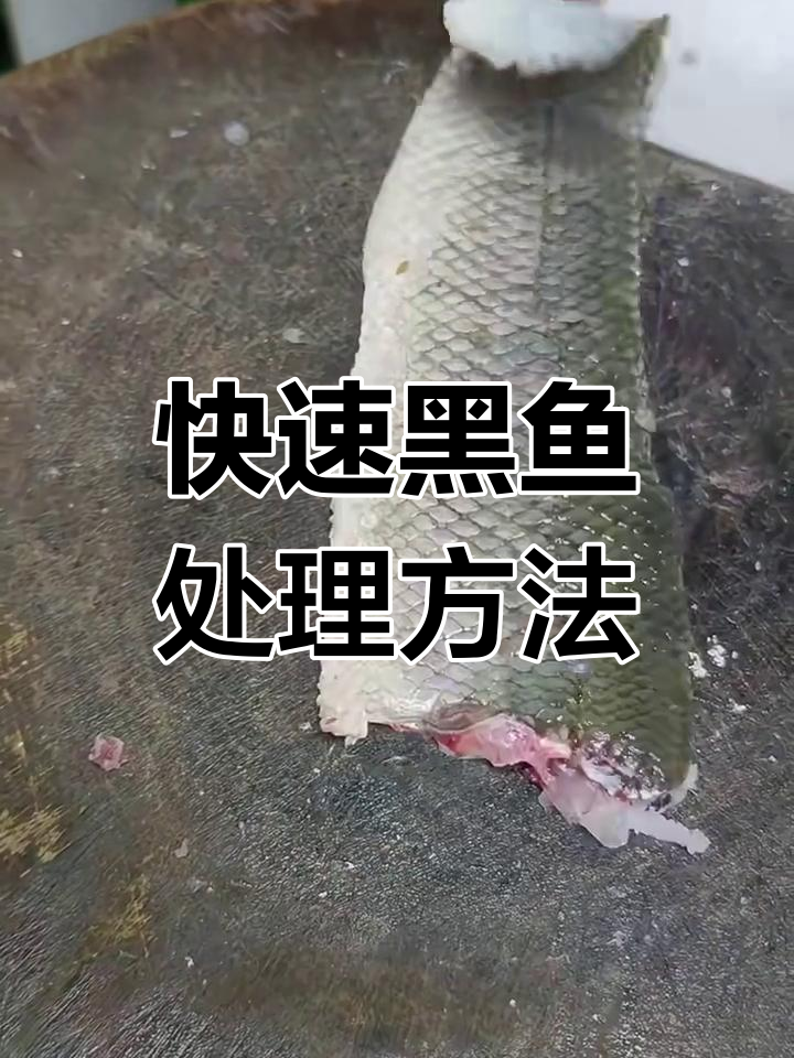黑鱼处理技巧大揭秘,轻松去鳞切块