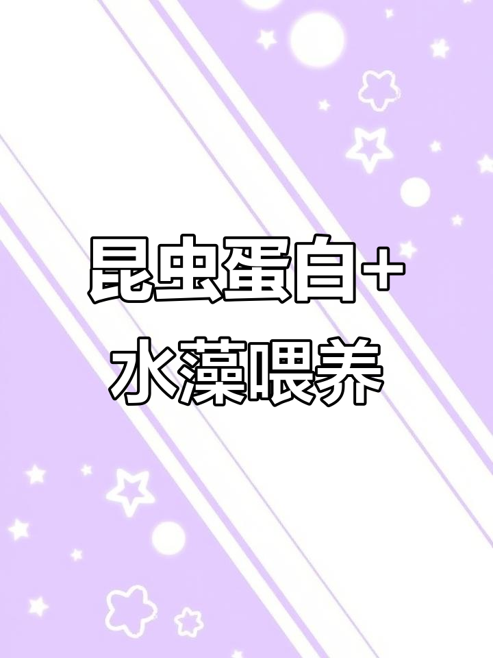 水蚤与水藻：最佳活体饲料，助力鱼儿健康生长