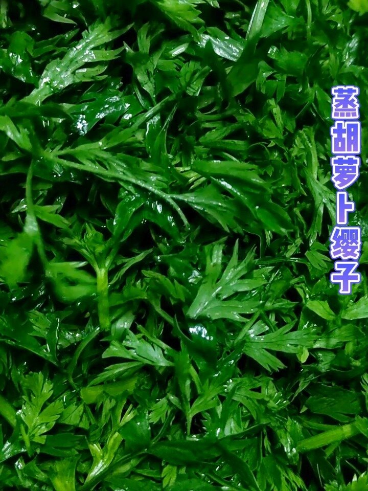 胡萝卜樱子做法 蒸菜做法