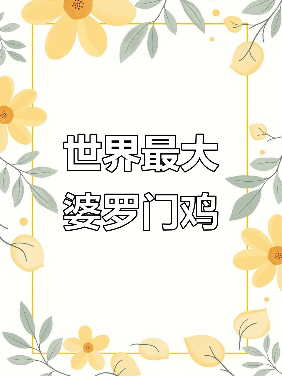 婆罗门鸡:一只能卖两万的巨型宠物,你愿意养吗?