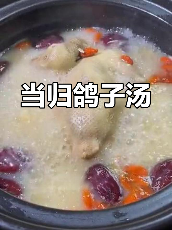 冬季暖心汤,当归果子炖鸽子,滋补又美味