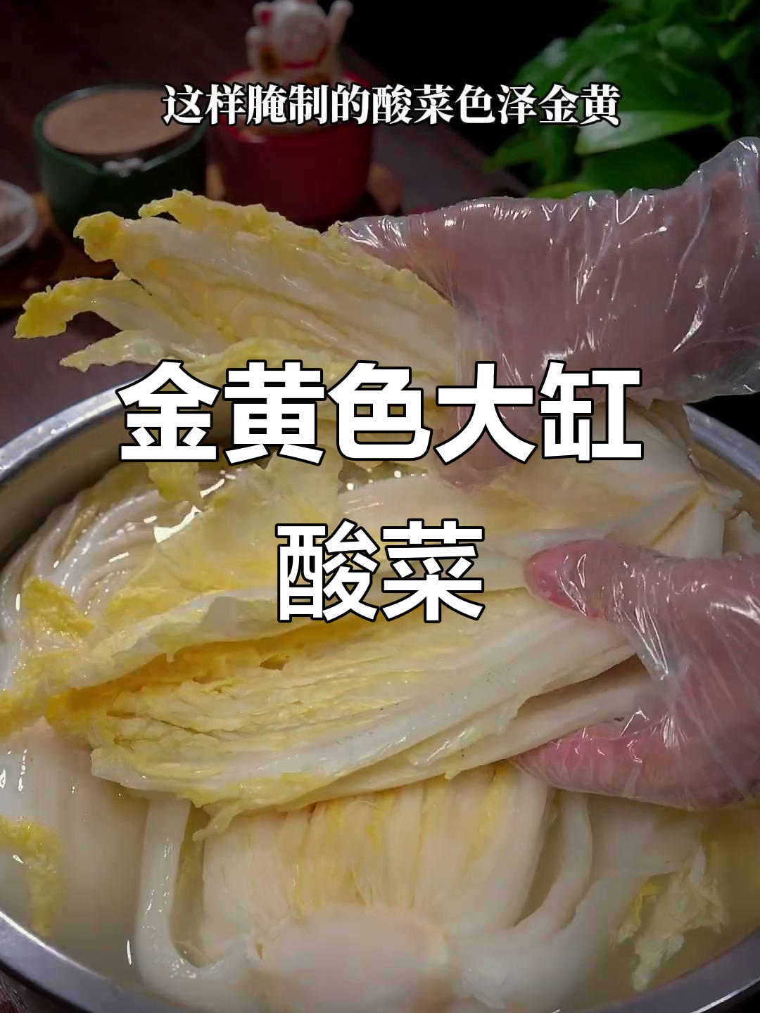东北大缸酸菜的简单腌制方法，色泽金黄不易腐烂