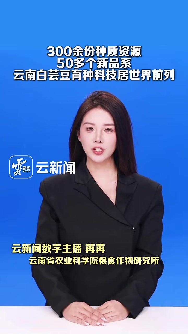 云南白芸豆育种科技居世界前列