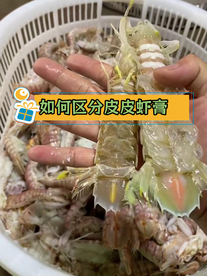 皮皮虾膏的区别,你学会了吗?