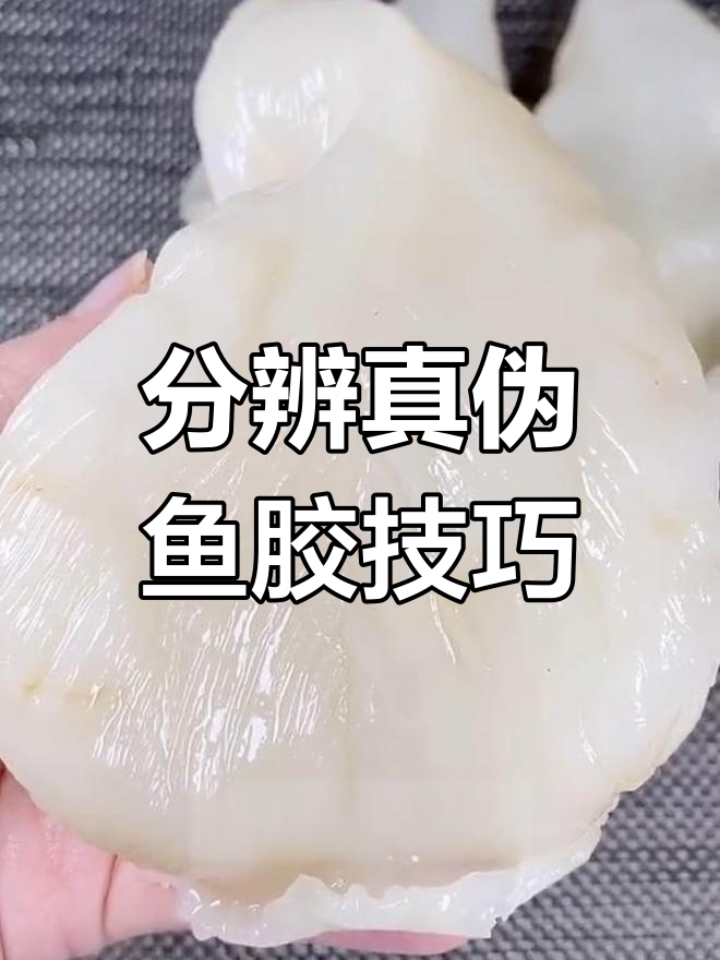 如何辨别真假鱼胶,避免买到假货