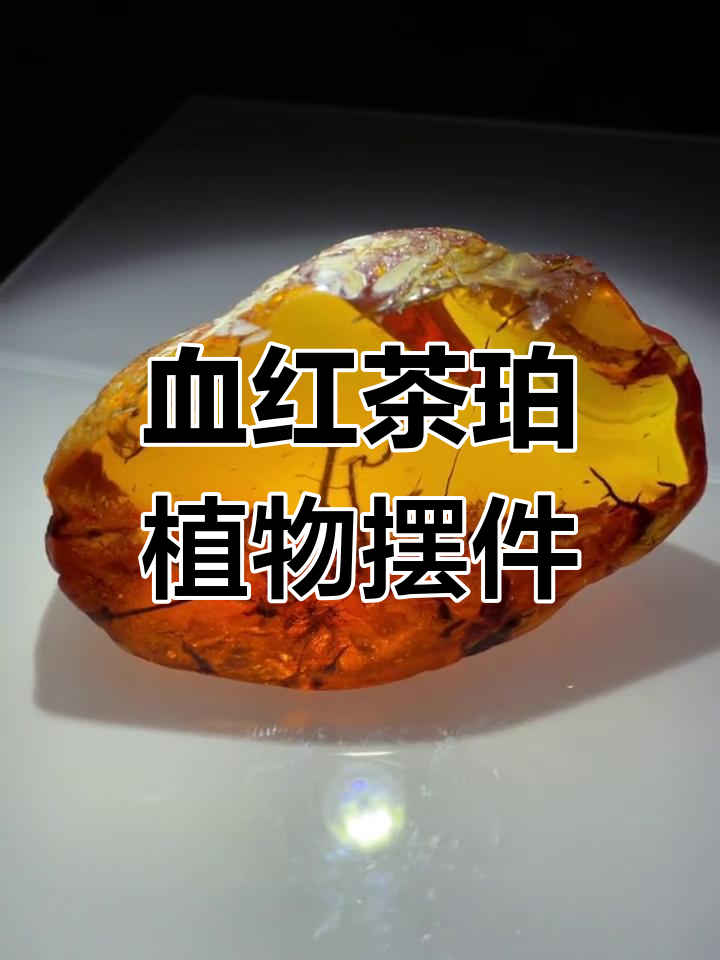 缅甸血红茶珀植物意境摆件,大漠孤烟之美