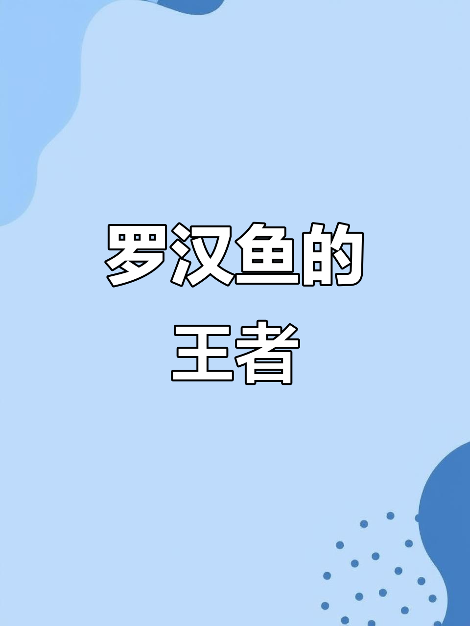 星冉罗汉鱼,独特花纹尽显霸气,堪称水族界的大魔王