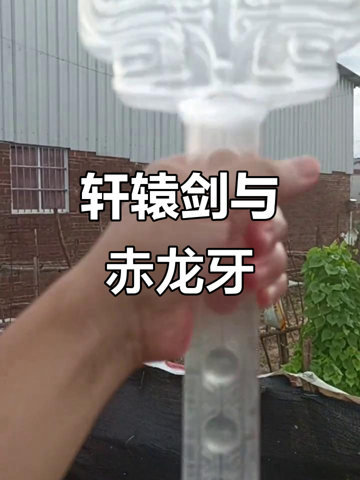 宇文错与轩辕剑的传奇,赤龙牙背后的故事