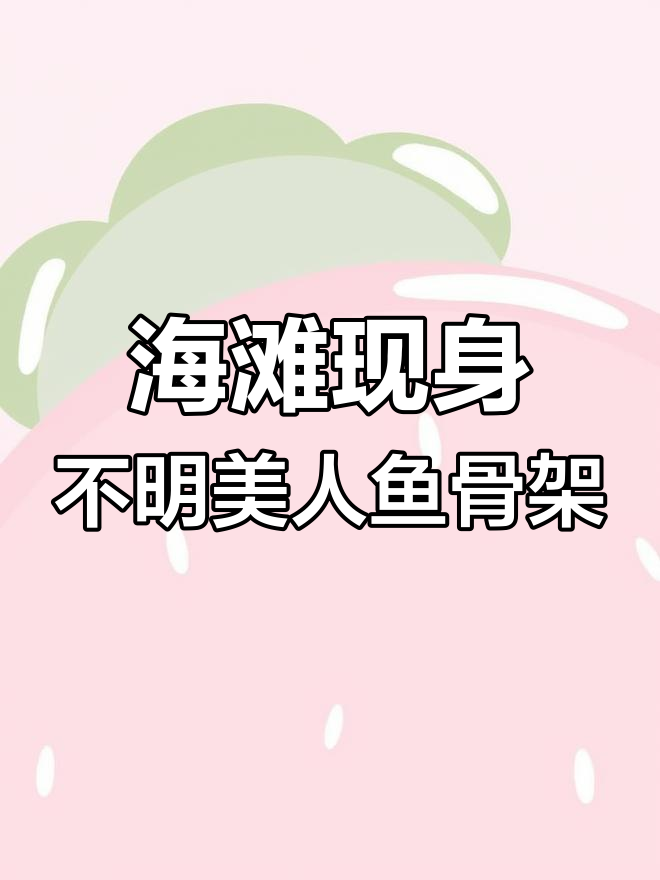 海滩发现神秘美人鱼骨骼,眼睛异常大,究竟是外星生物还是骗局?