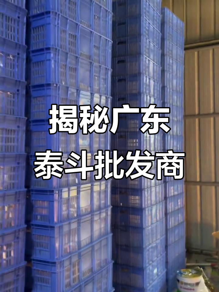 探访广东最大泰国斗鱼批发商,十万库存全曝光