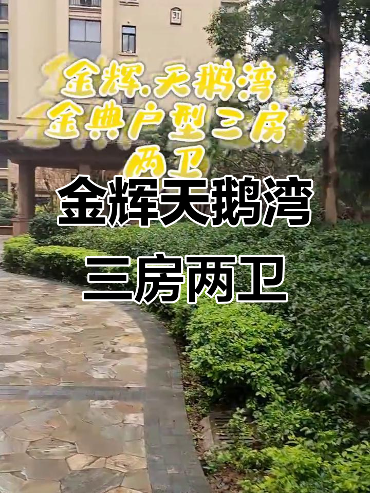 金辉天鹅湾中层三房两卫,全明设计295万带装修