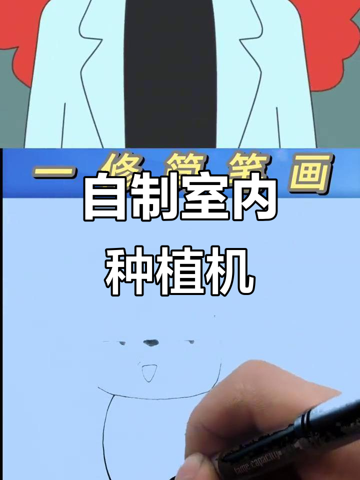 孩子们的创意午餐:从种子到丰收的奇妙旅程