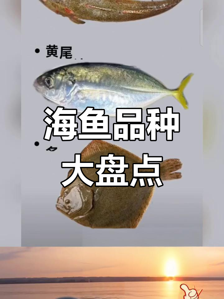 常见海鱼品种大揭秘,带你了解不同海鲜风味
