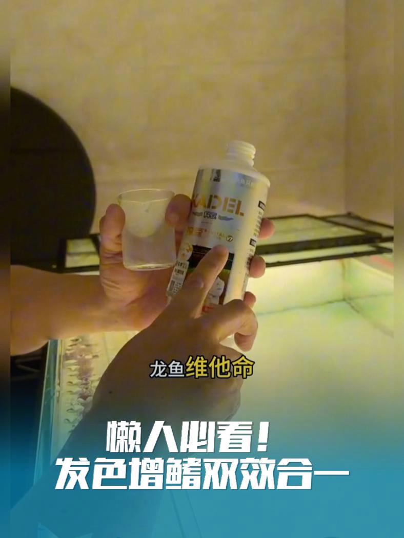 懒人必看!发色增鳍双效合一 无需复杂操作,投喂V7轻松养出“赛级鱼”!维生素D3+E协同作
