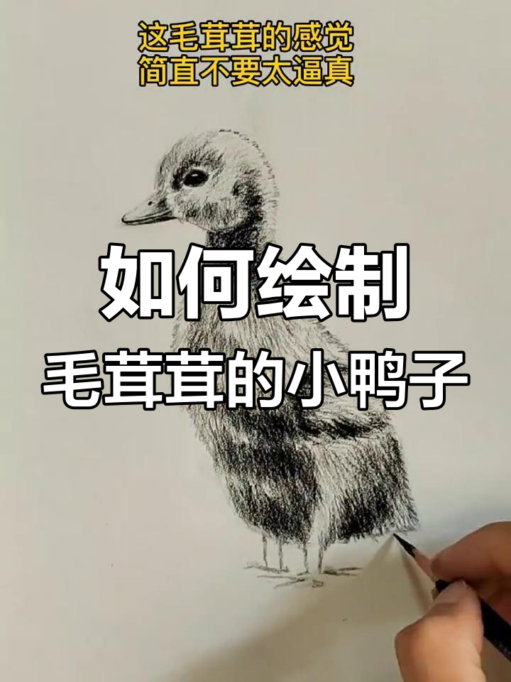 画一只逼真小鸭子的步骤