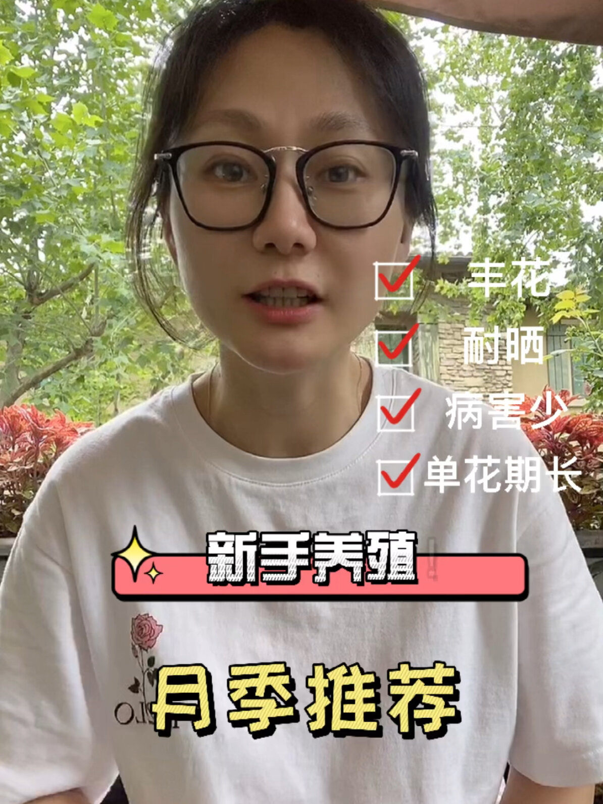 一款推荐给新手养殖的月季—草莓杏仁饼
