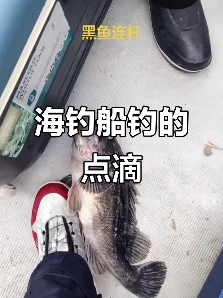 海钓船上的那些事,钓鱼爱好者的心声与感悟