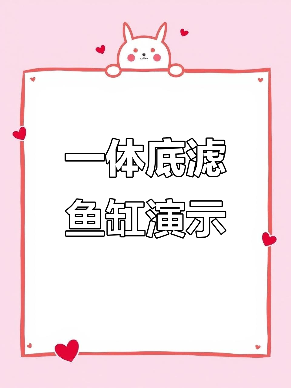 白色侧溢流鱼缸效果展示,一体底滤设计超实用