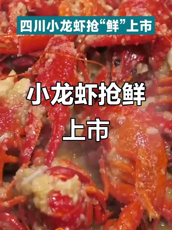四川小龙虾新鲜上市,40元一斤你尝过吗?